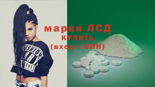 гидропоника Каменка