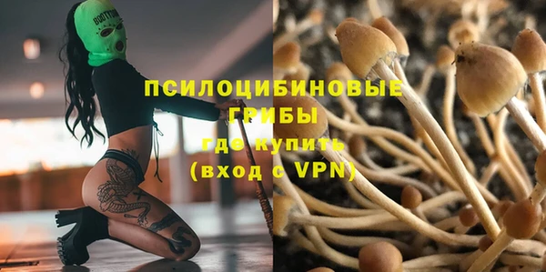 кокаин колумбия Каменногорск