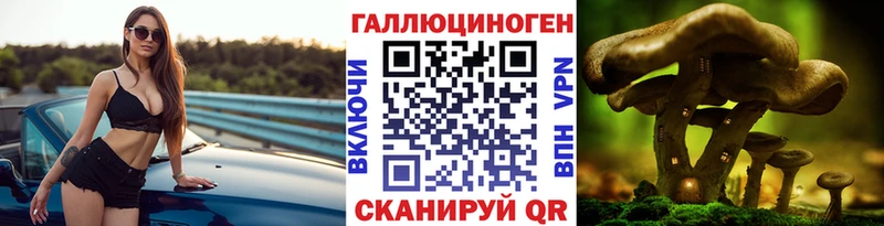 Купить закладки  Бузулук  Галлюциногенные грибы GOLDEN TEACHER 